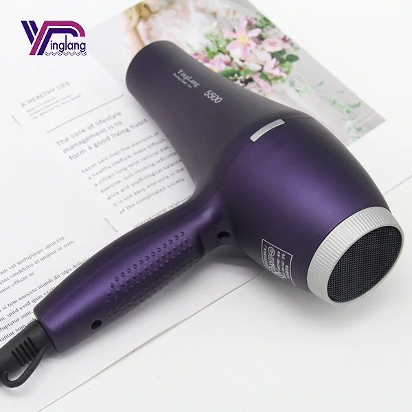 High Power Salon Hotel Best Professional Home Salon Hot and Cold Air Negative Ion Hair Dryer