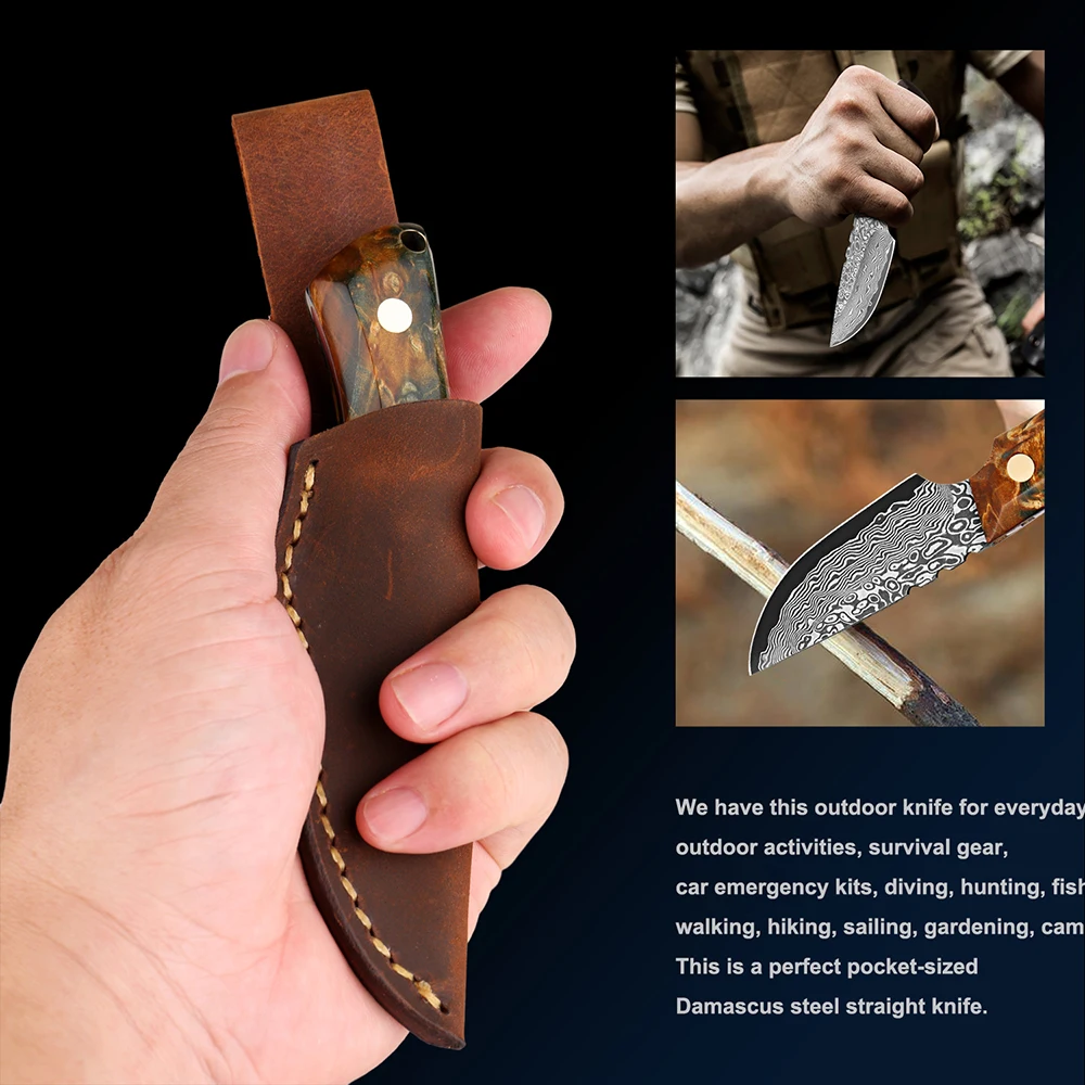 Handmade Damascus Fruit Knife Damascus Steel Blade Hunting Skinning Knife Fixed Blade Camping Survival Knife With Leather Sheath