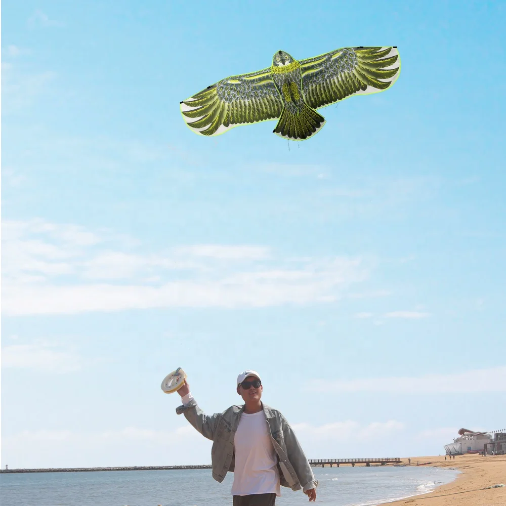 Оптовая продажа прямые продажи с фабрики персонализированный легкий Летающий змей Дельта Орла