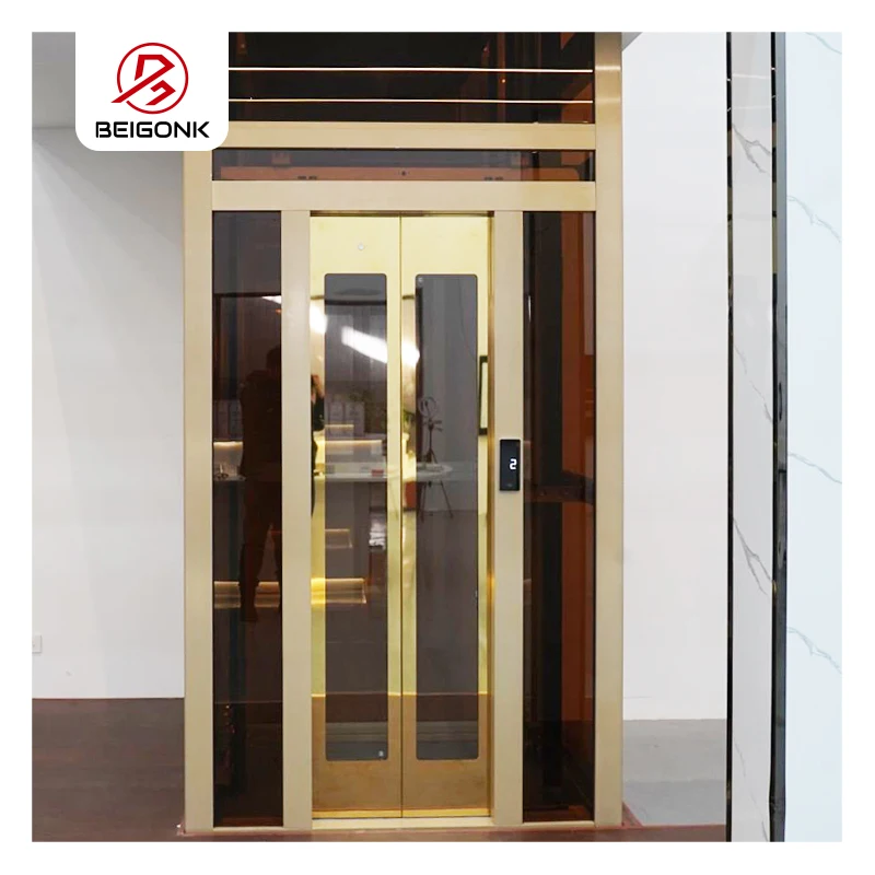 400kg Home Elevator Homelift Domestic Lift for 2 Person Small House