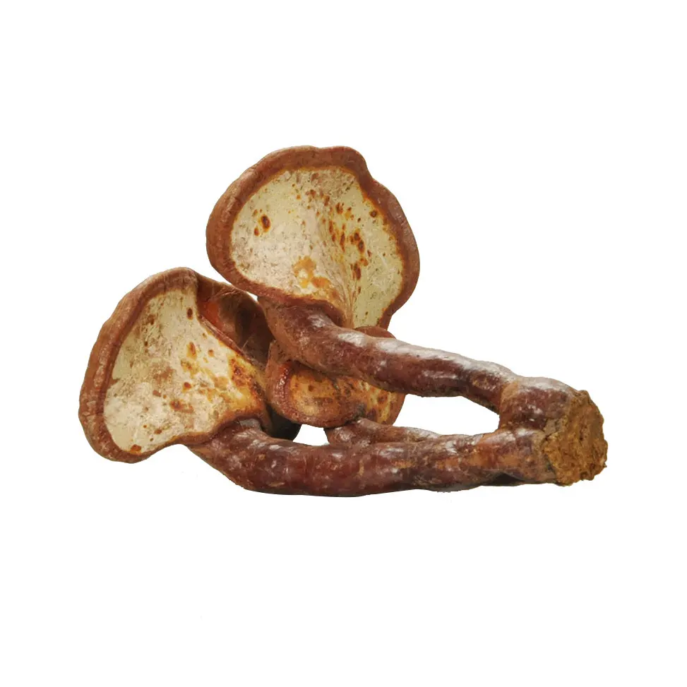 
New Product Chinese Herbal Ganoderma Lucidum Health Benefits Reishi Mushroom Lingzhi 