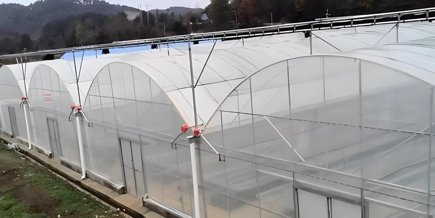 Алюминиевые теплицы сельскохозяйственное оборудование с теплицами тепловое одеяло для продажи