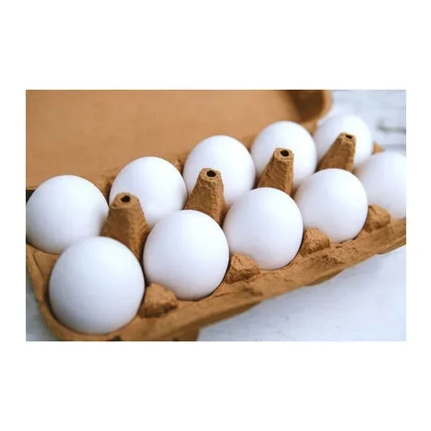 Белый поставщик свежих богатых белков фермерских куриных яиц белая скорлупа яйца доступны оптом поставщик свежих куриных яиц