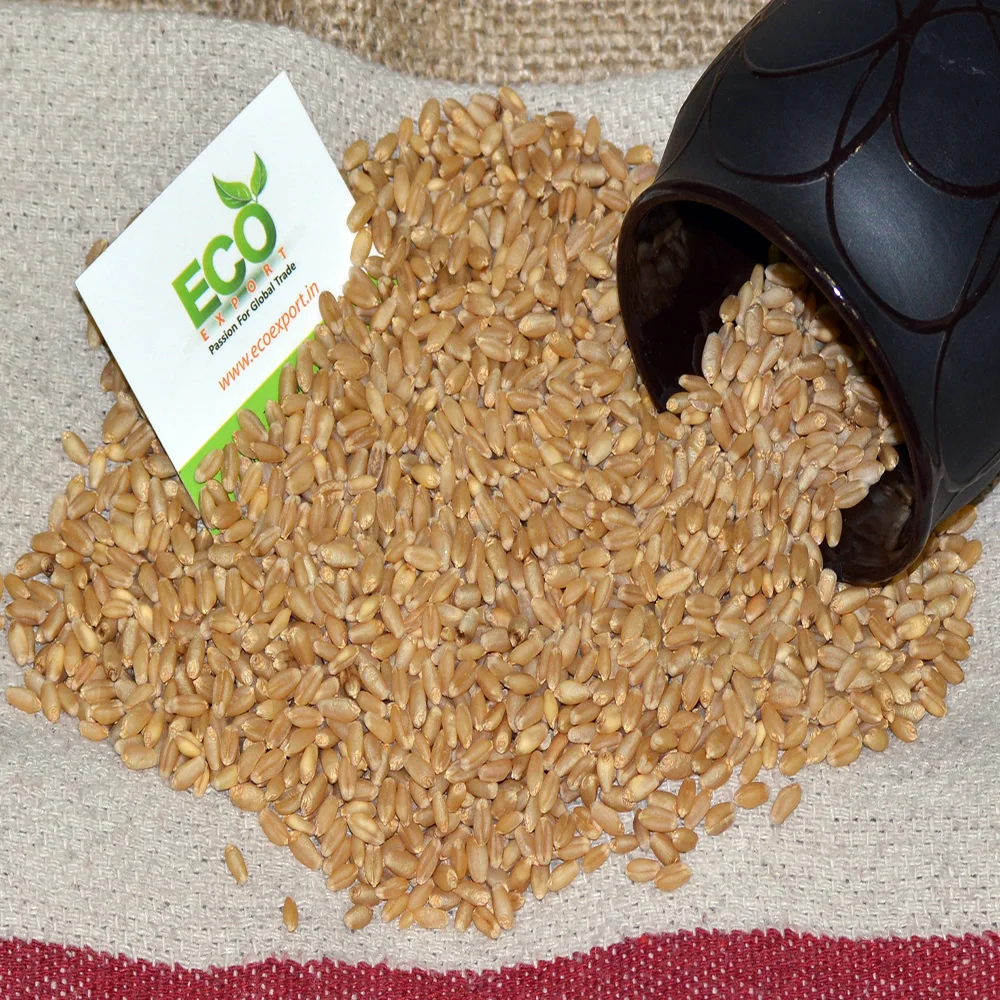 Пшеницы класс все органические мягкой пшеницы