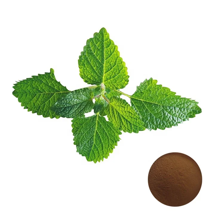 Herba Menthae Extract