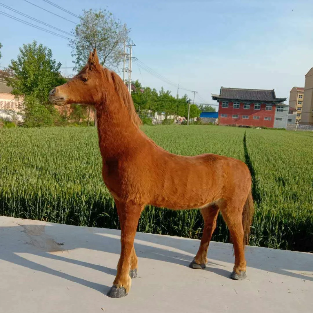 1:1 Simulation Horse Model Animal Specimen Horse  Fur Animal Leather Specimen Horse Ornament
