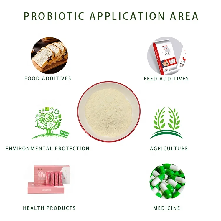 Wholesale Factory Price Best Probiotic Powder Lactobacillus Fermentum