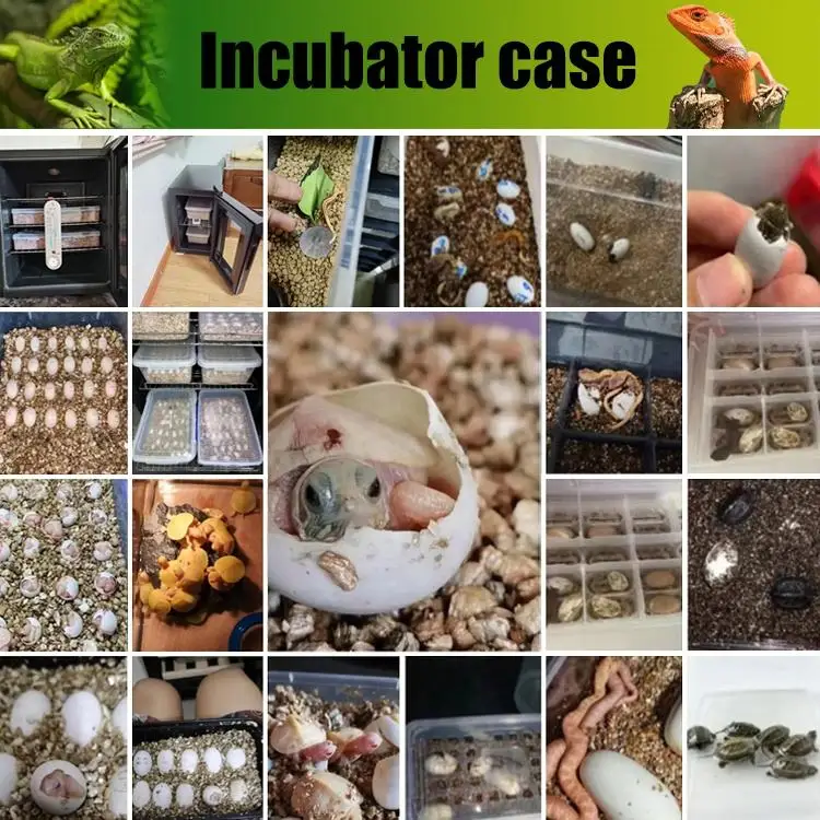 Reptile Egg Incubators Hatching Machine Quail Bird 16L 23L 33L 48L 78L