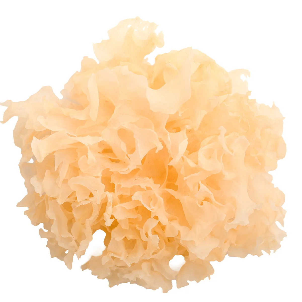 Wholesale Snow Fungus Tremella Mushrooms Dried Tremella Snow Fungus