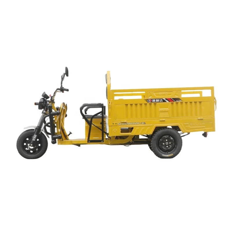Stainless Steel Electric Cargo Tricycles 3 Wheel Motorcycles Cheap Price Electric Off Road Adult Tricycle on Sale
