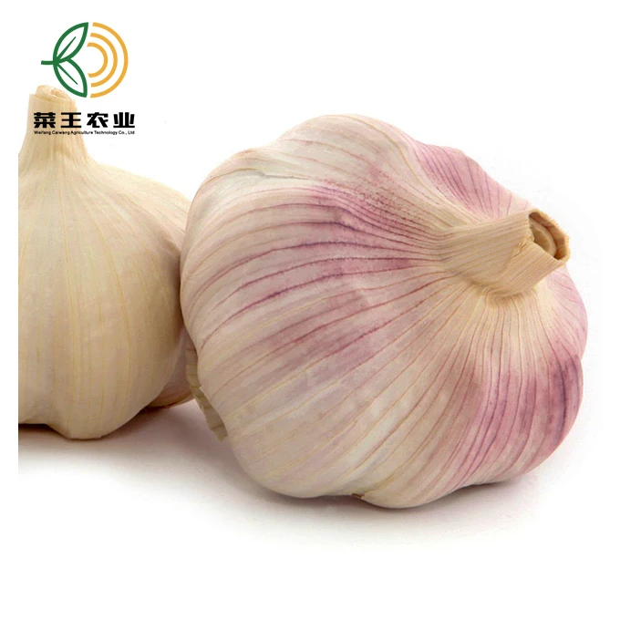 
2020 Chinese Best Wholesale High Quality Fresh Garlic Price -new Crop 