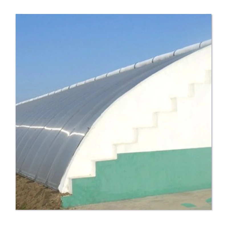 Discover Affordable Durability and Wind Resistance in Our Greenhouses