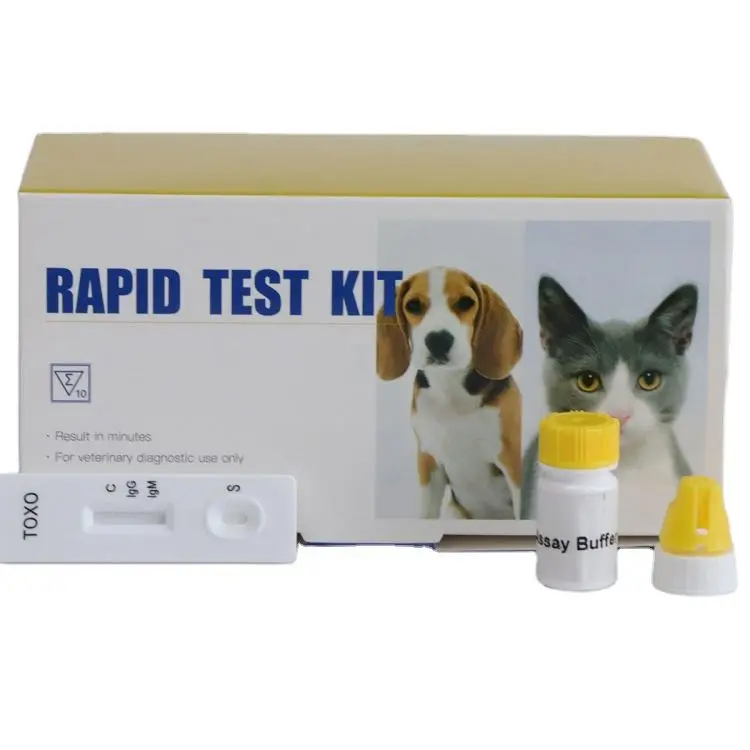 Animal Canine Toxoplasma IgG/IgM Rapid Test Kits Toxoplasma Gondii Rapid Test Kit For Cat and Dog