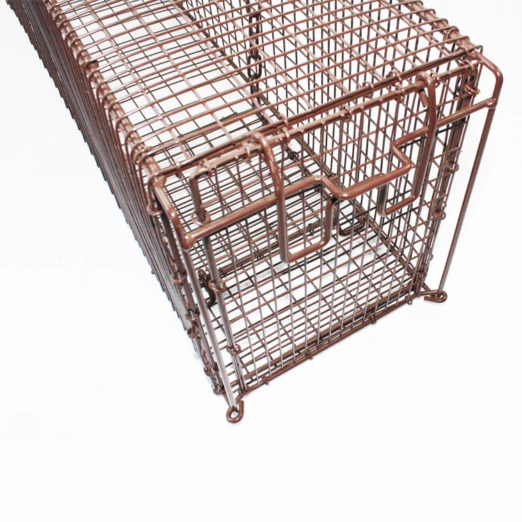 Best Seller Small Mouse and Squirrel Cage Trap Top-Entry Live Animal Marten Trap Eco-Friendly Iron Pest Control for Rats