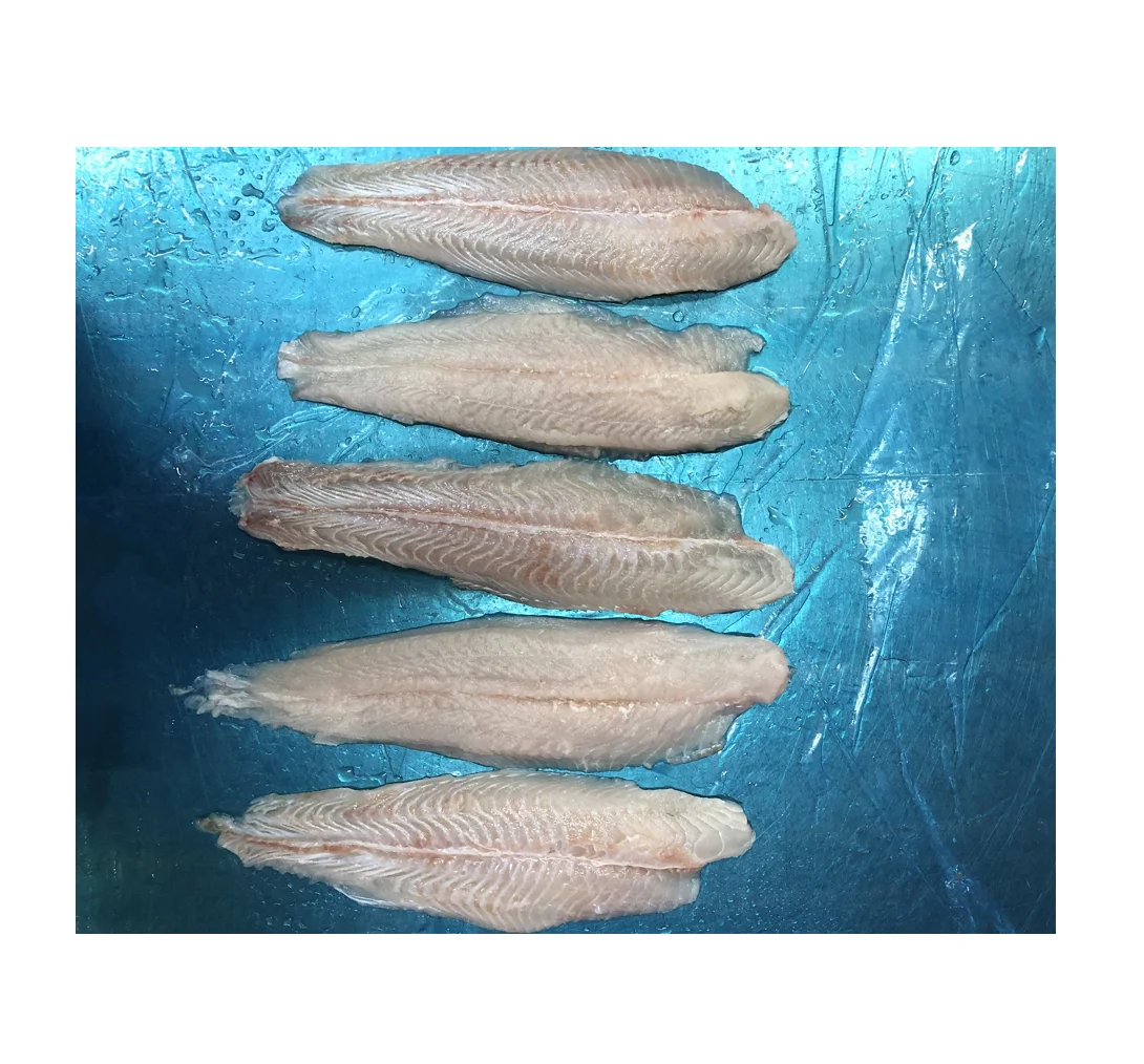 Pangasius fillet, well - trimmed , Non treatment Best Product