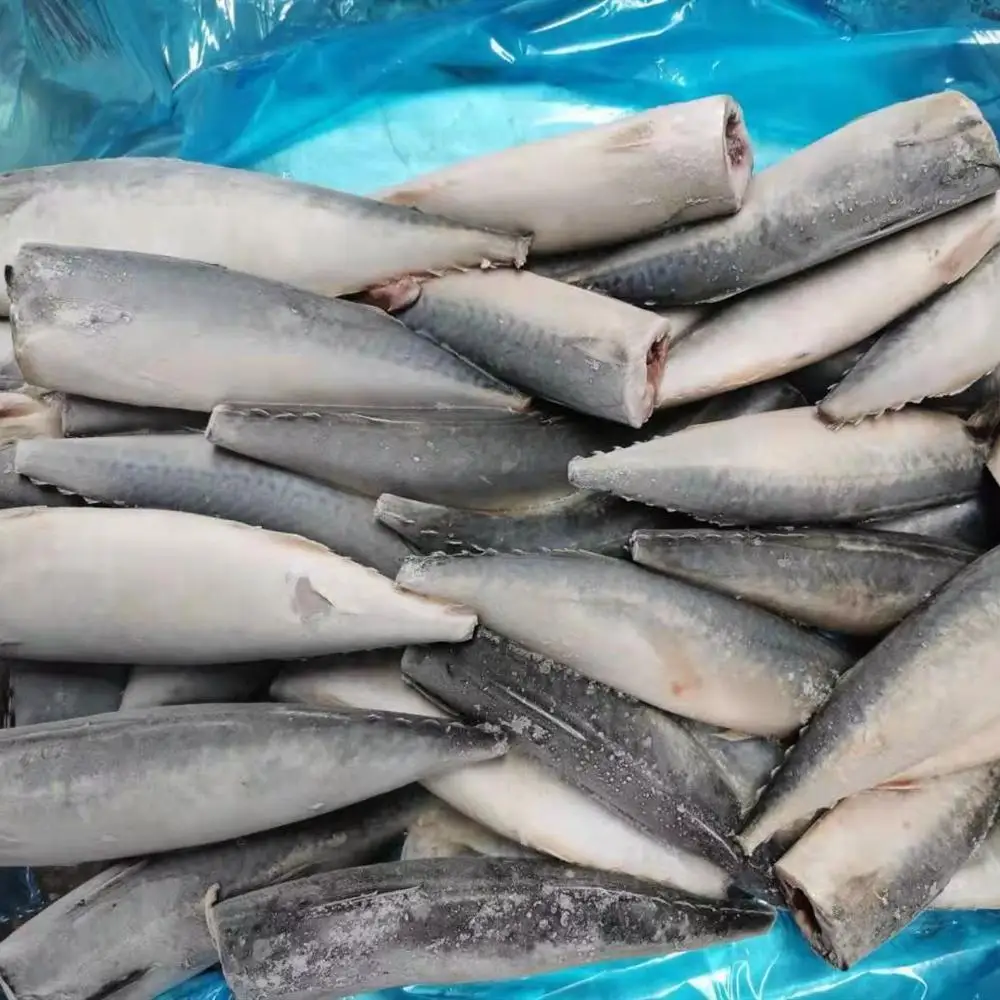 
High Quality Frozen HGT Pacific Mackerel Size 100-200gHigh Quality 