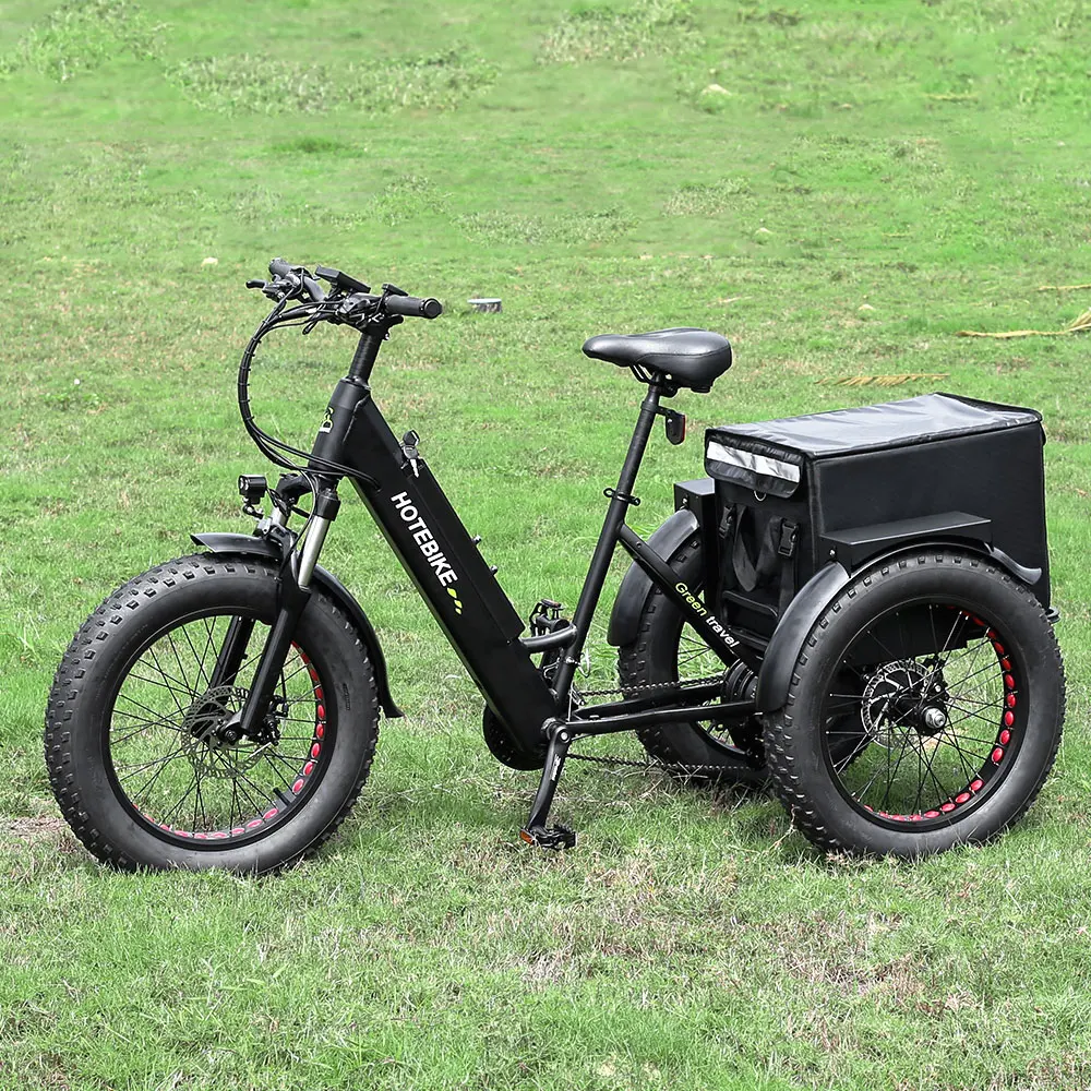 electric bicycle tricycle 20*4.0 inch Fat tire electric cargo tricycle for adult 36V350W electric tricycles three wheel