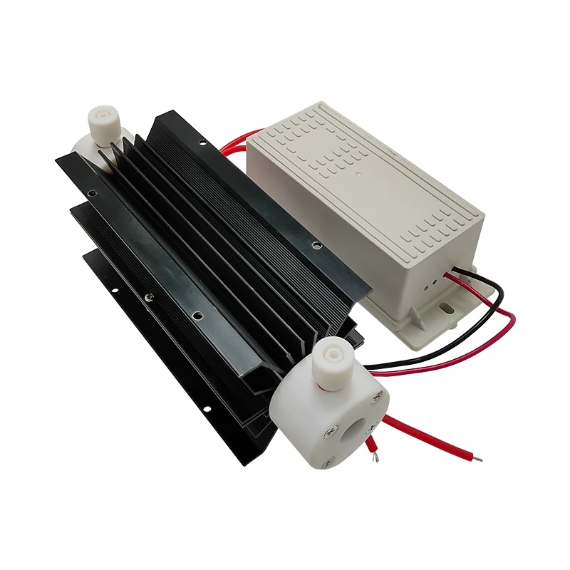 Ozone Generator Parts 5G 10G 15G Air Purifier Ozone Generator Ozone Cell