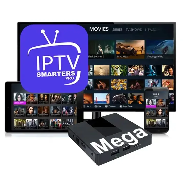 12 Months Iptv 24H Free Test Iptv Abon M3U List Mega Panel For Arab USA Canada Exyu Albania Africa Denmark UK Germany Sweden