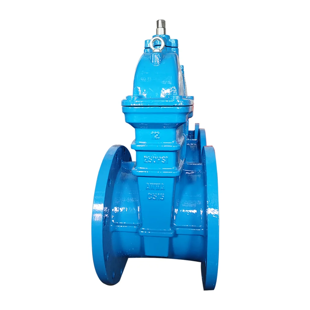 DIN3352 F4 F5 4 inch Ductile cast iron NRS NBR resilient seated GGG50 gate valve BS5163