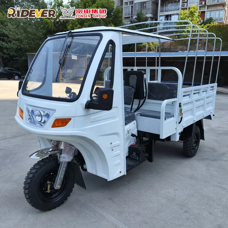 Zongshen Hongyun Cargo and Passenger 175cc MP3 Plaer motor tricycle  tricycle motorized tricycles trike motorcycle cycle