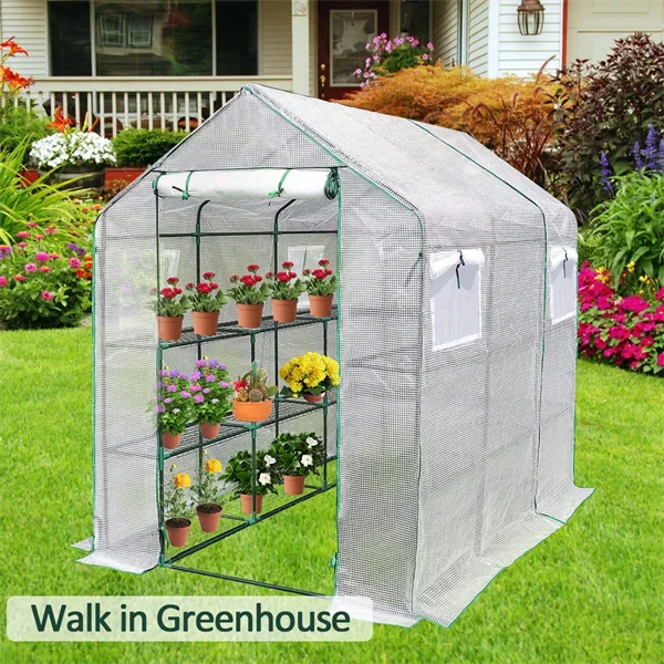 GREENHOUSE (27)