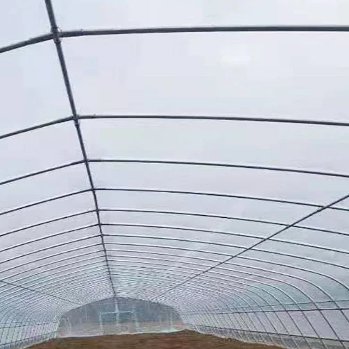Factory direct selling low-cost multi span agricultural greenhouse +agricultural film