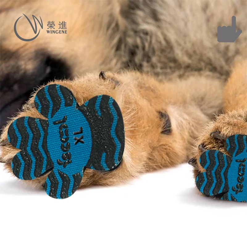 2022 New Dog Paw Protector Dog Paw Pads Pet Shoes For Dogs On Beach