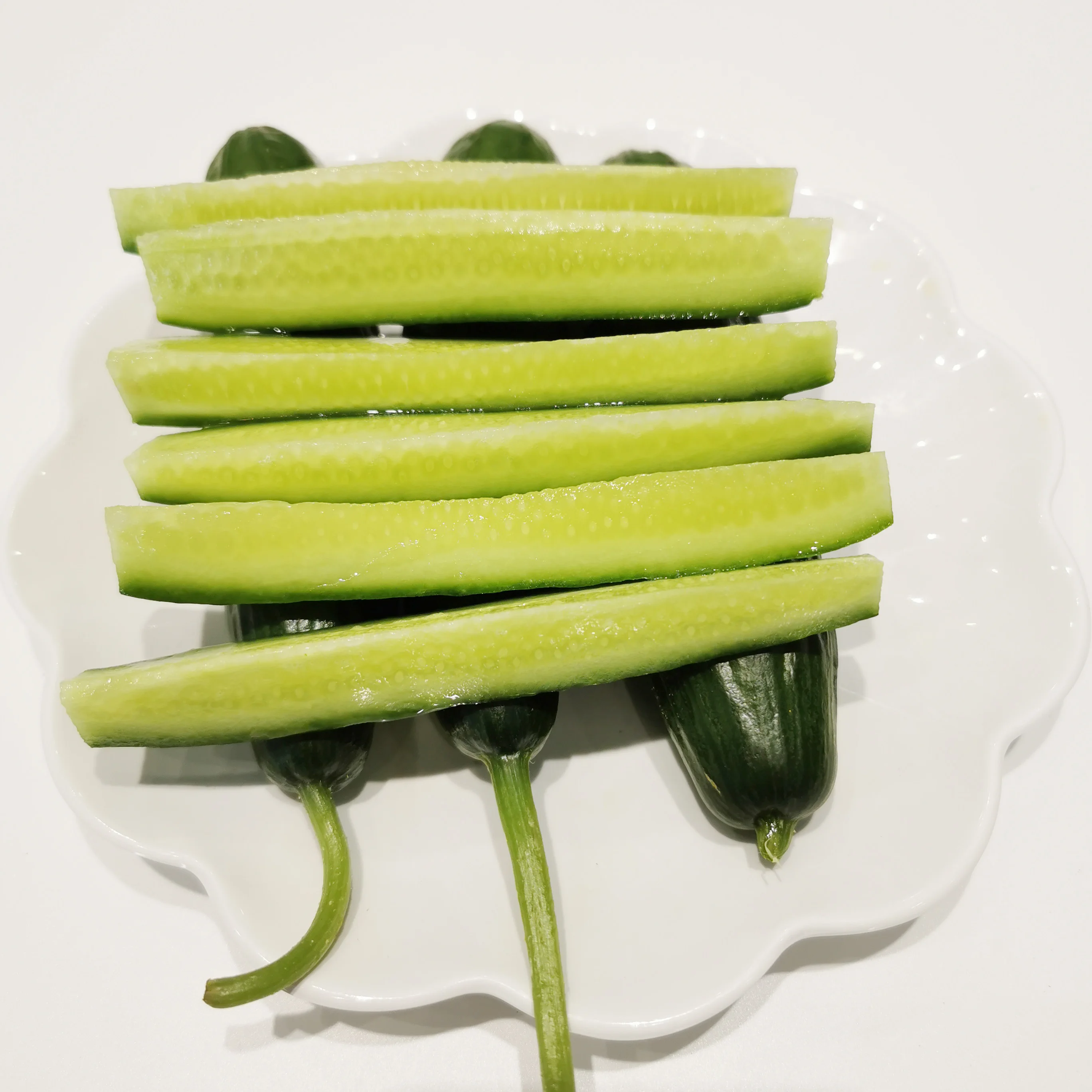 
China organic farms Growing fresh organic cucumbers 