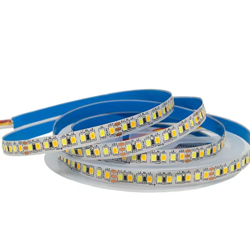 Holiday light APP or WIFI DC 12v 24v touch controlled flexible SMD 2835 led lights CE ROHS IP20 IP68 smart led strip light