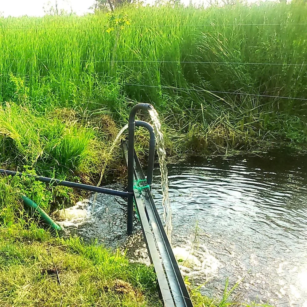 3SSC6/70-D90/1100  304 stainless steel solar dc submersible pump well pump irrigation system