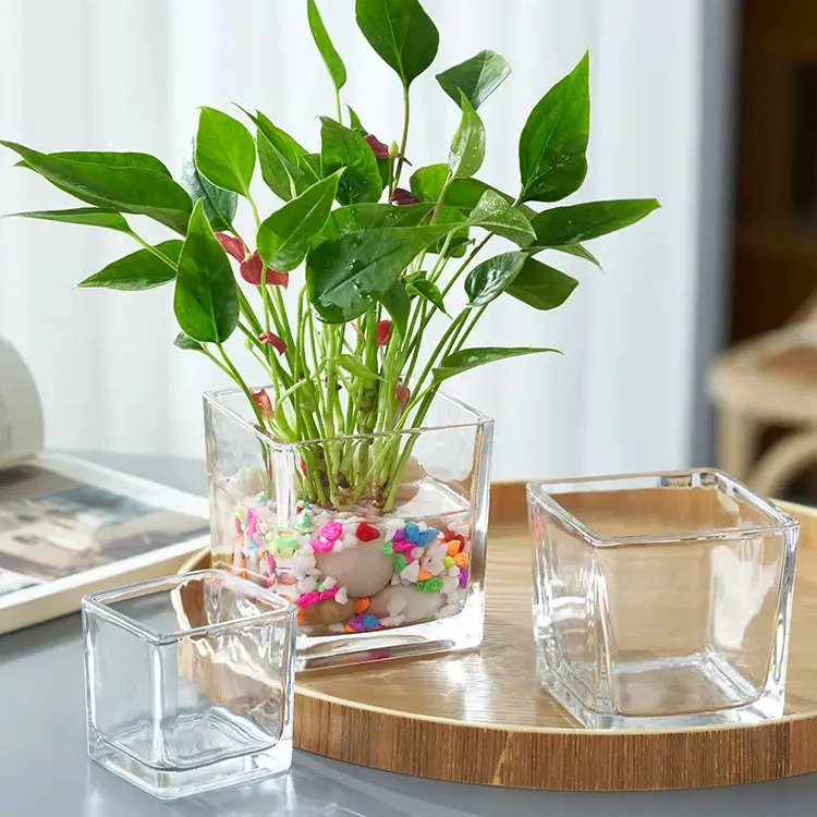 Square shape Cheap Modern Light Luxury Wedding Home Decoration Flower Grey Hydroponic Glass Container Simple Clear Glass Vases