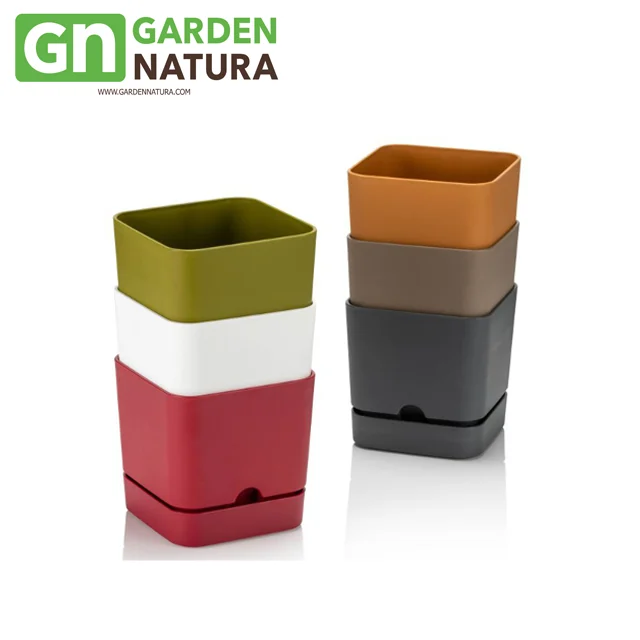 Fast Cargo-Plastic Flower Pot Begonya