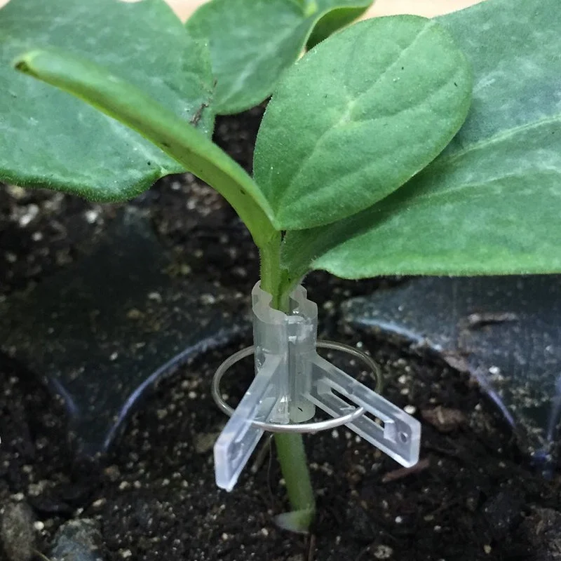 Сельскохозяйственная пластиковая продукция по удивительной цене, полипропиленовая наземная крышка, литье, арбуз, помидоры, огурец, дыня