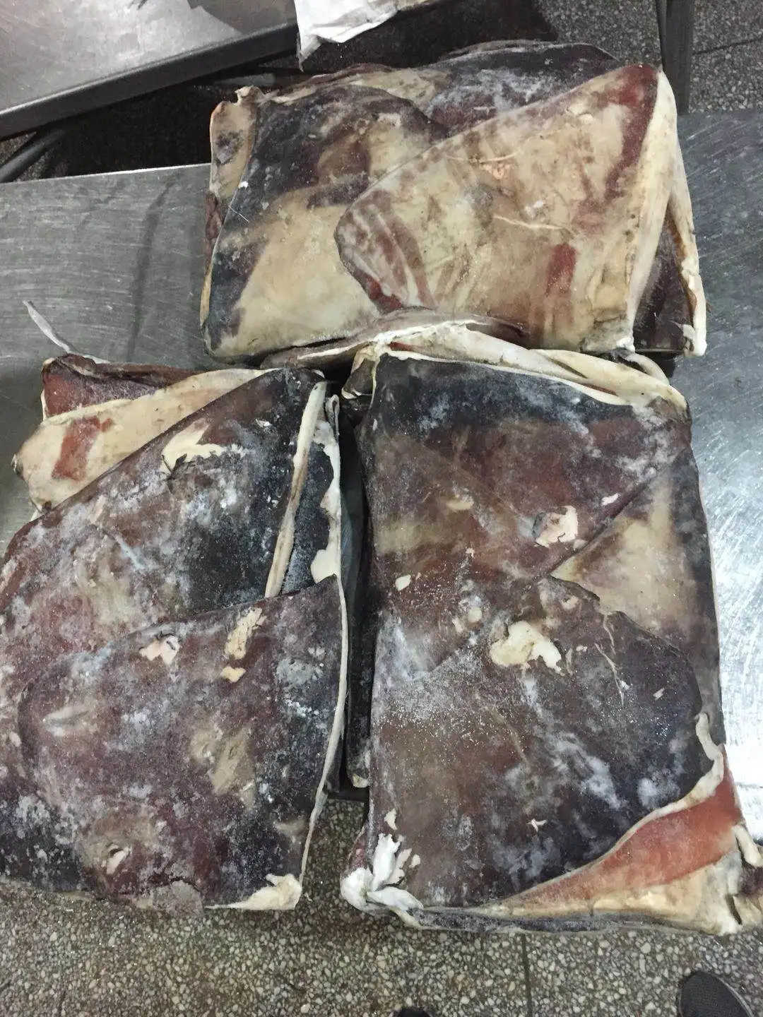 frozen giant seafood squid half cut wings  sale 500g+