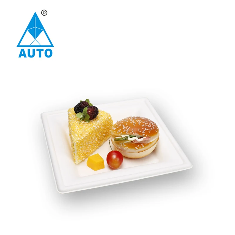 Automatic Bagasse lunch box tableware machine material in Sugarcane Bagasse Plate Pulp Molding Tableware Making Machine