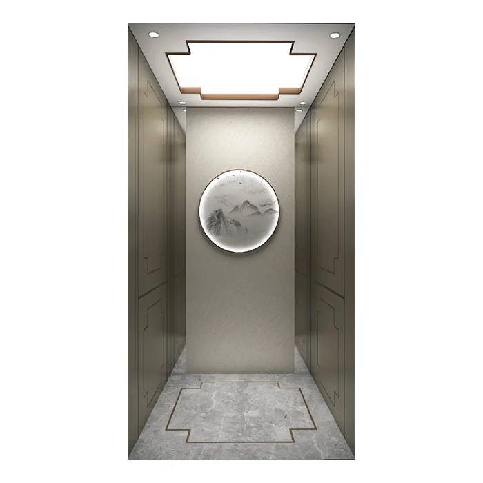 Cheap Mirror hairline stainless Simple desgin ZLE Passenger lift elevator 630kg 800kg