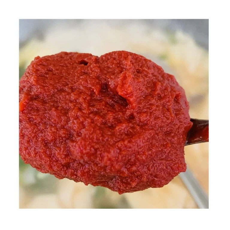 Concentrate tomato paste canned 400g tin 28-30% brix canned tomato paste