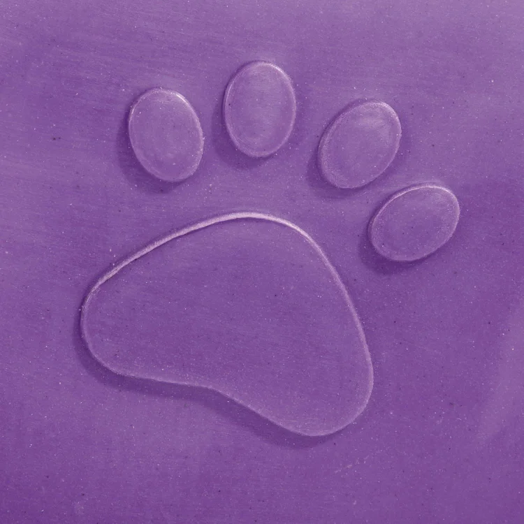 Dog Bathing Tub Multifunctional Pet Dog Bath Shower Pet Bath Swimming Pool