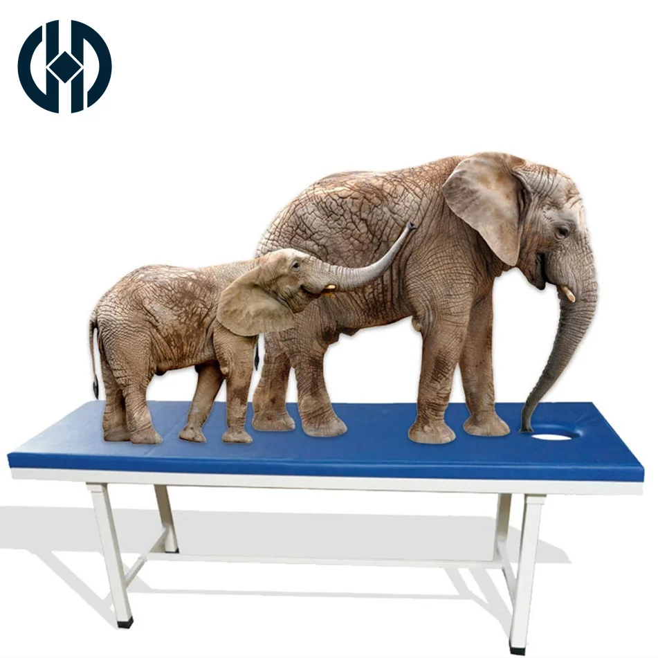 Hospital Patient Exam Couch Medical Folding Gynaecological Examination Couch For Gynecology With Height Adjustable