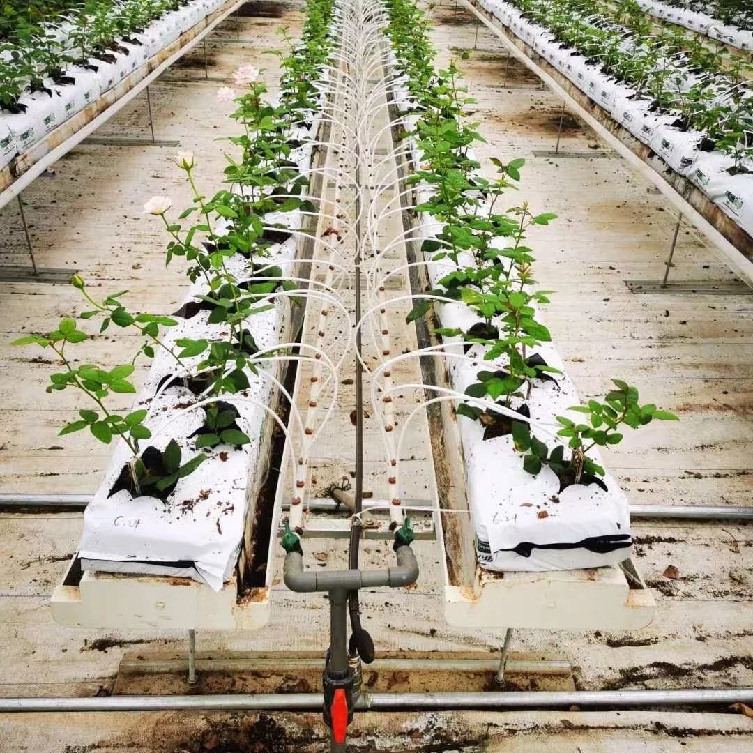 Factory directly sells NFT hydroponic PVC planting drainage ditch planting bag hydroponic system equipment in agricultural green