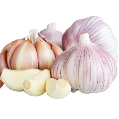 2024 new garlic 4.5cm size red garlic keeper 40RF container loading white garlic exporting now