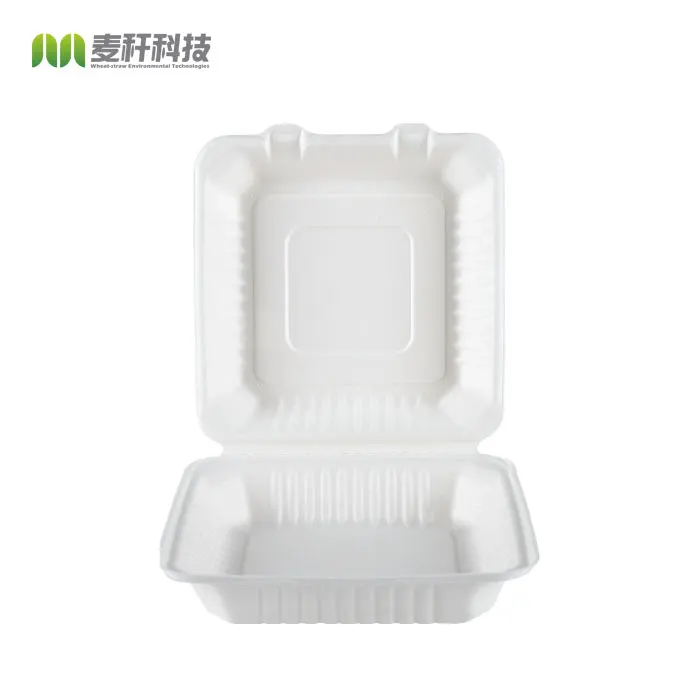 9 Inch Biodegradable compostable clamshell food containers 3 compartments box clamshell packaging