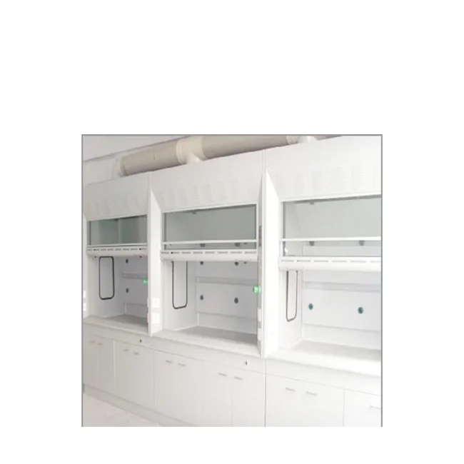 Walk in Steel Chemical Laboratory Fume Hood / chemical fume cupboard mobile fume hood price china