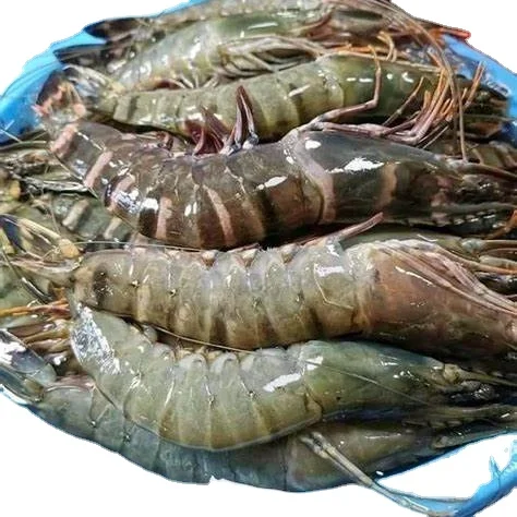 Замороженные свежие креветки морепродукты черный тигр креветки