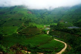 Кофе для похудения кофе Арабика светло-обжаренный без сахара крема Заводская поставка