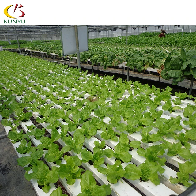
pvc channel hydroponic nft growing systems for farm growing vegetable with hot dip galvanized frame/ stainless steel frame 