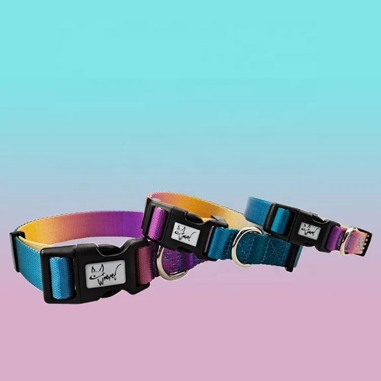 colorful dog collar accept custom logo wholesale pet collar