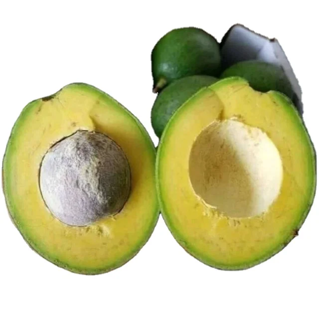 FROZEN AVOCADO FROM VIETNAM WITH HIGH QUALITY AND BEST PRICE