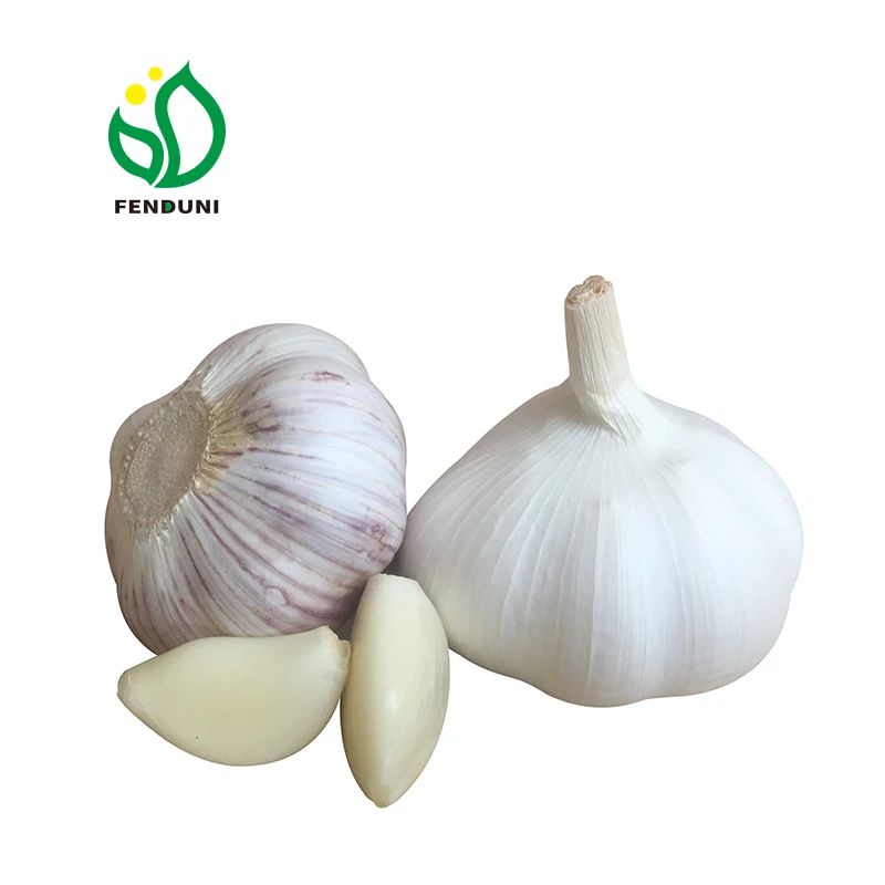 Fresh Garlic Chinese Normal White&Pure White Garlic Export Price